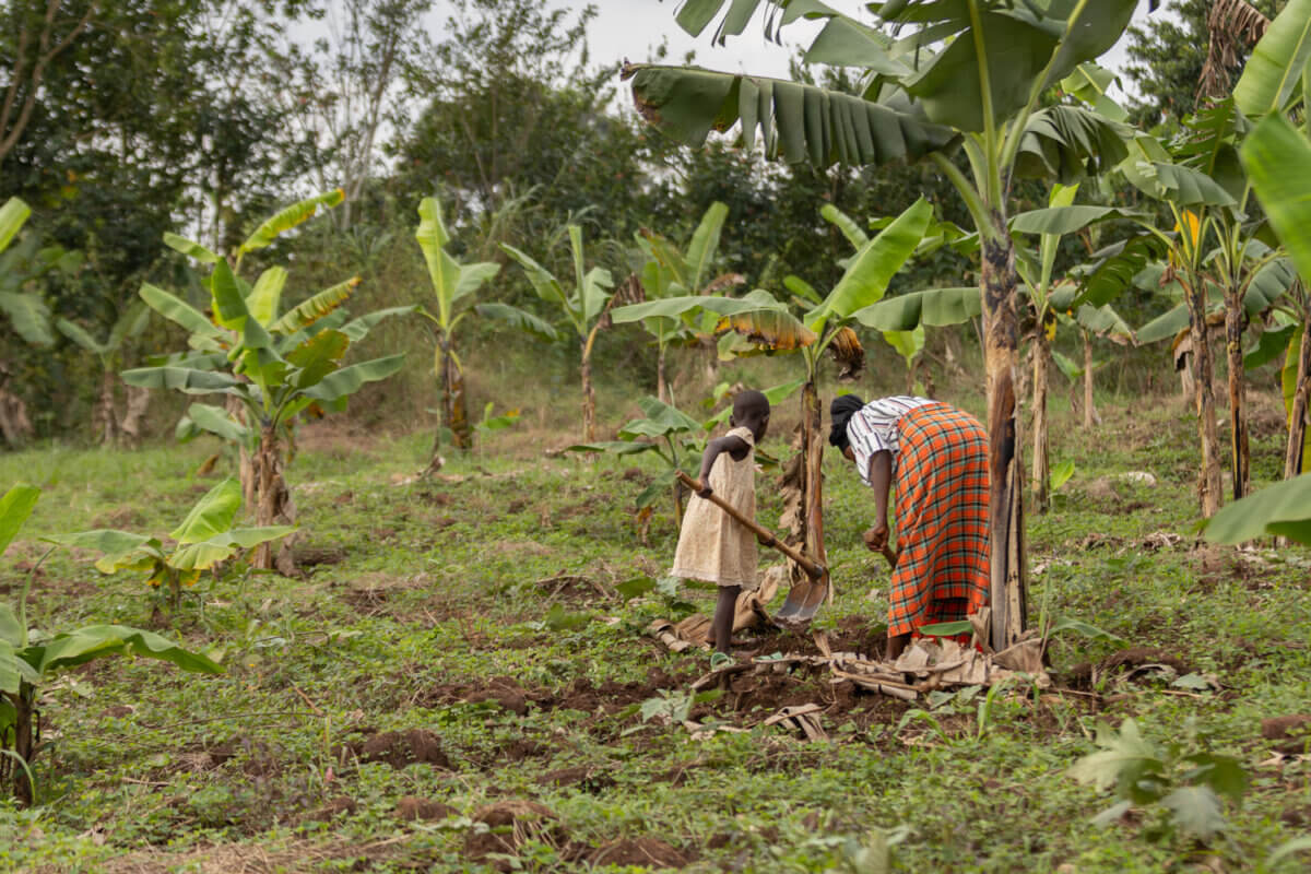 Annet helps her mother dig in the gardens.